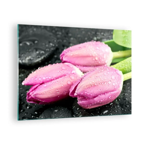 Glasbild - Bild auf glas - Drei rosa Tulpen mit Wassertropfen bedeckt auf schwarzem Hintergrund. - 70x50cm - Liladrei auf schwarzem Stein - Moderne Wanddekoration für Wohnzimmer und Schlafzimmer ARTTOR