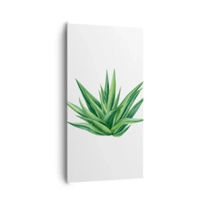 Bild auf Leinwand - Leinwandbild - Grün – Kraft – Leben - 65x120 cm