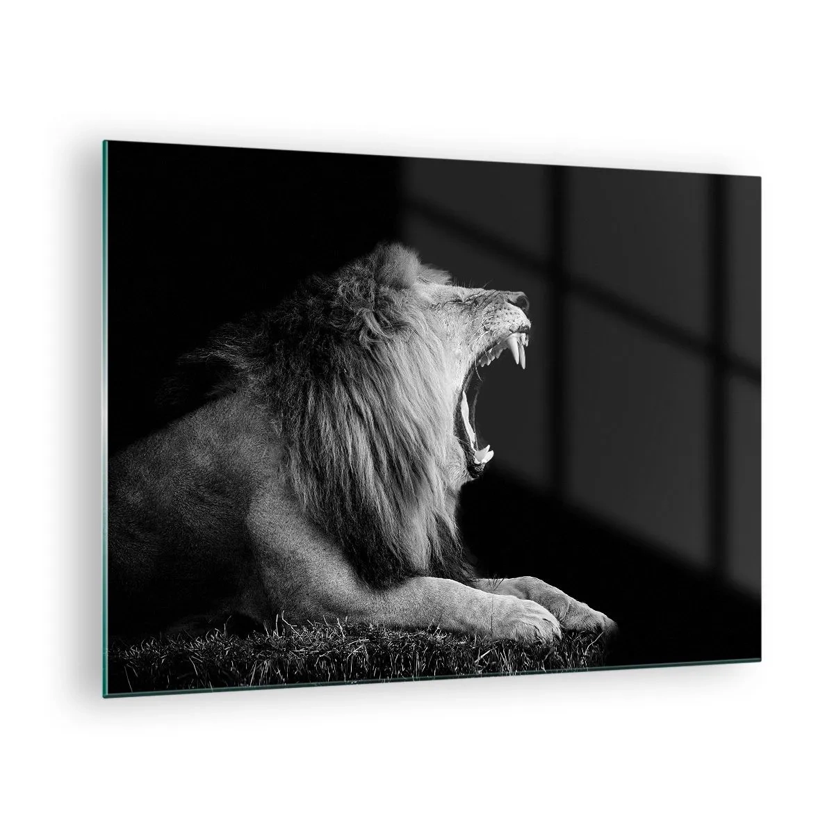 Glasbild - Bild auf glas - Schwarz-Weiß-Porträt eines Löwen, der vor einem Schatten brüllt - 70x50cm - Ohne Zweifel - Moderne Wanddekoration für Wohnzimmer und Schlafzimmer ARTTOR