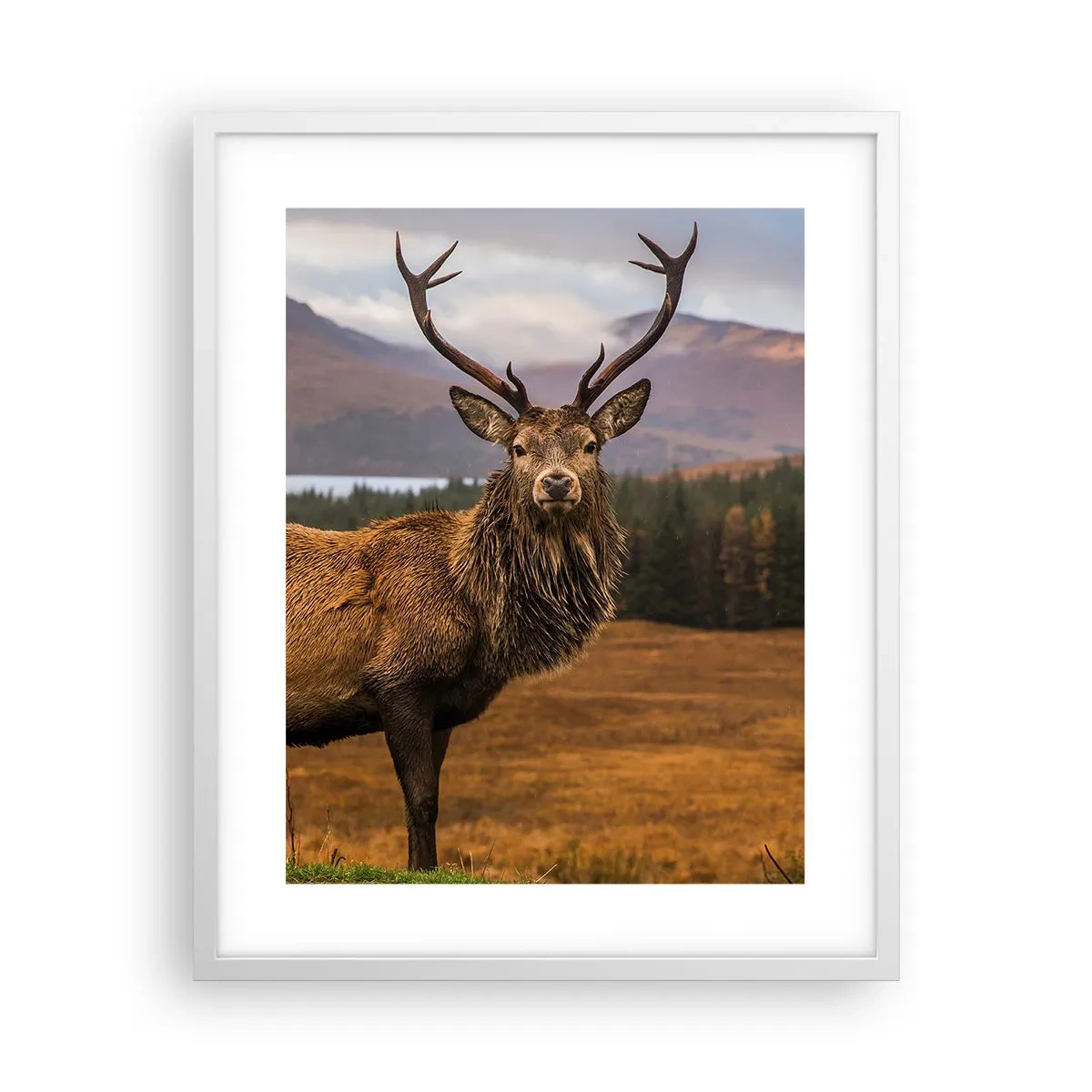 Poster in einem weißen Rahmen - Die Majestät der Natur - 40x50 cm