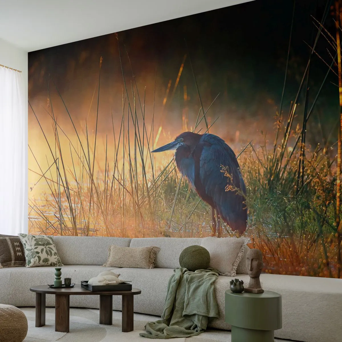 Fototapete Standard Eco - Komm, gib mir eine Pause mit diesen Fotos - Reiher, Vogel, Natur - 500x350 cm