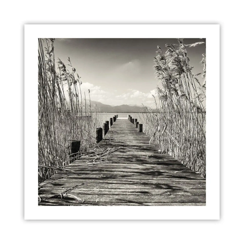 Poster - In der Stille des Grases - 50x50 cm