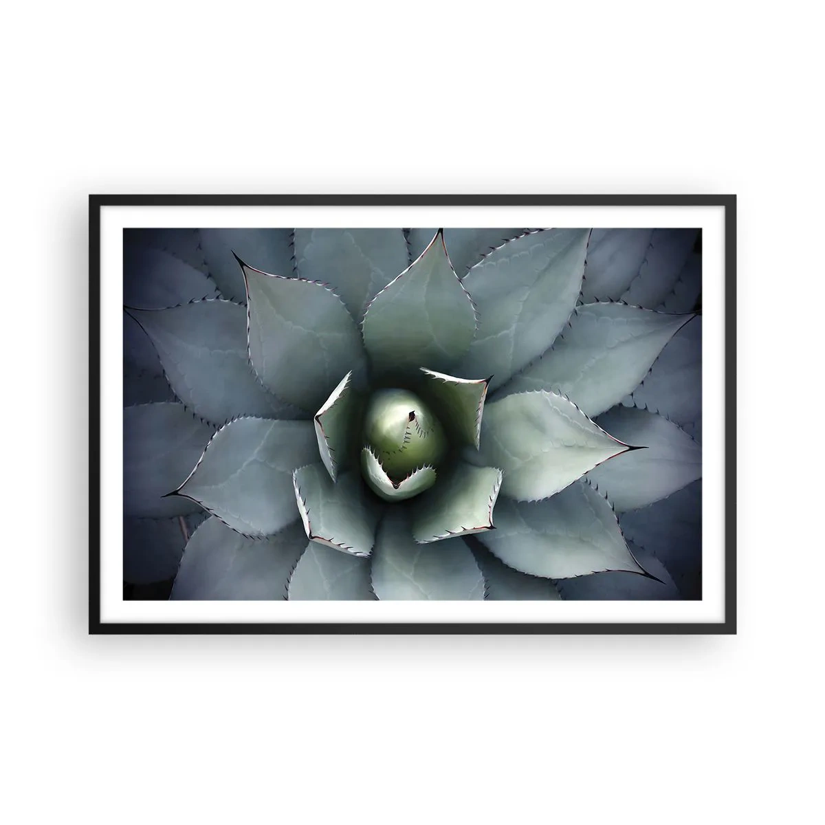 Poster in einem schwarzem Rahmen - Es lockt an und warnt - 91x61 cm