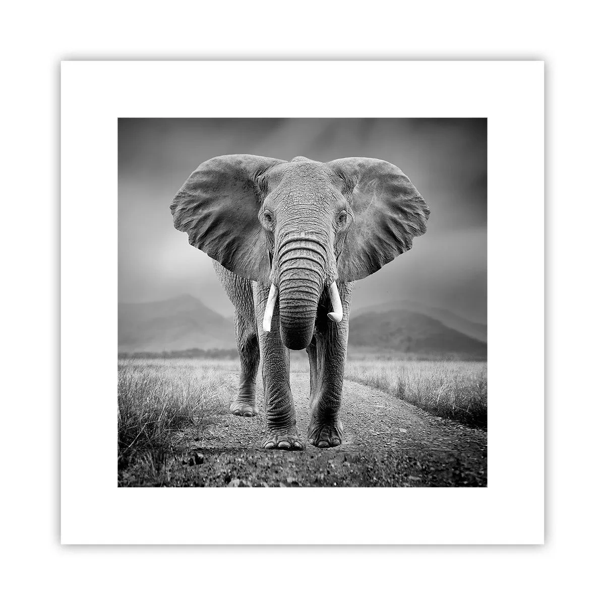 Poster - Der Gastgeber heißt willkommen - 30x30 cm