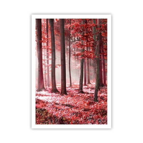 Poster - Rot ist genauso schön - 70x100 cm