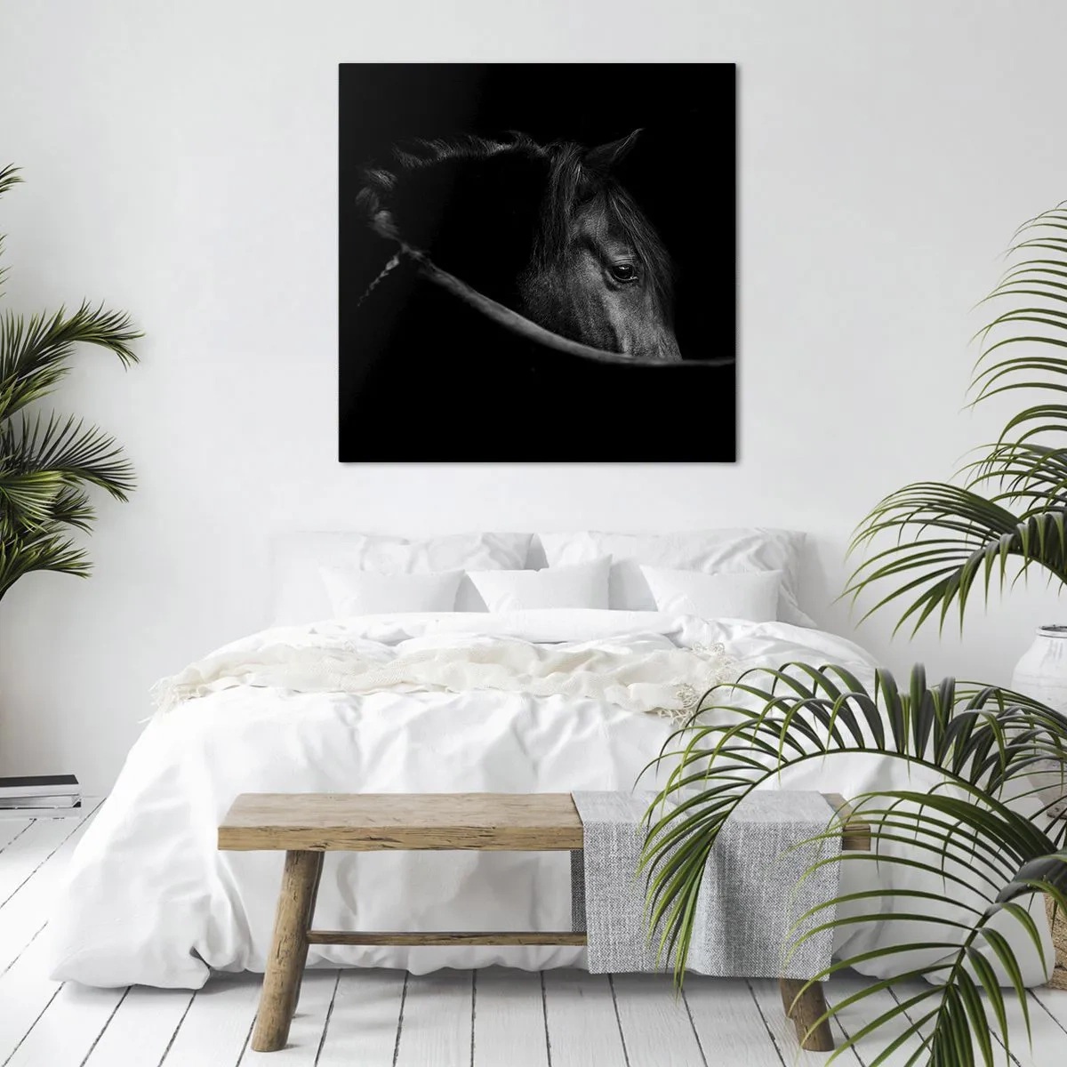 Bild auf Leinwand - Leinwandbild - Schwarzer Prinz - 60x60 cm