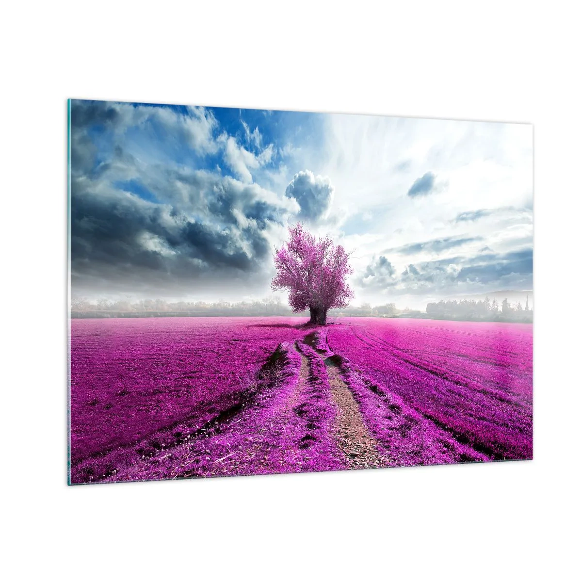 Glasbild - Bild auf glas - Ein Baum in einem Heidefeld unter einem dynamischen Himmel - 100x70cm - Heide - Wildnis - Moderne Wanddekoration für Wohnzimmer und Schlafzimmer ARTTOR