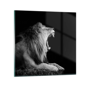 Glasbild - Bild auf glas - Ohne Zweifel - 30x30 cm