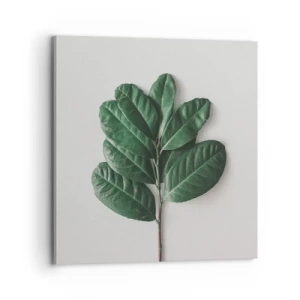 Bild auf Leinwand - Leinwandbild - Eine Zeichnung purer Natur - 70x70 cm