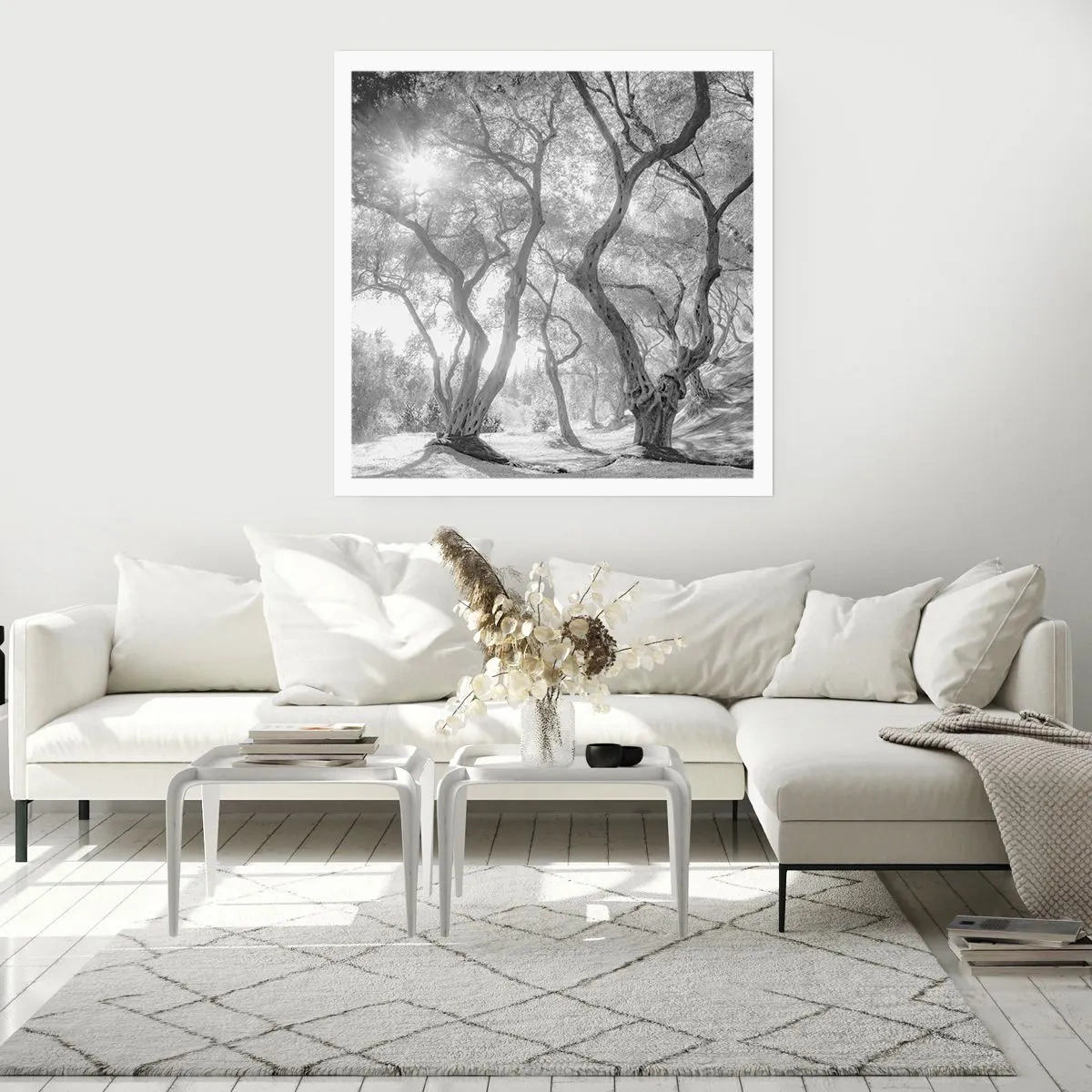 Poster - Im Olivenhain - 60x60 cm