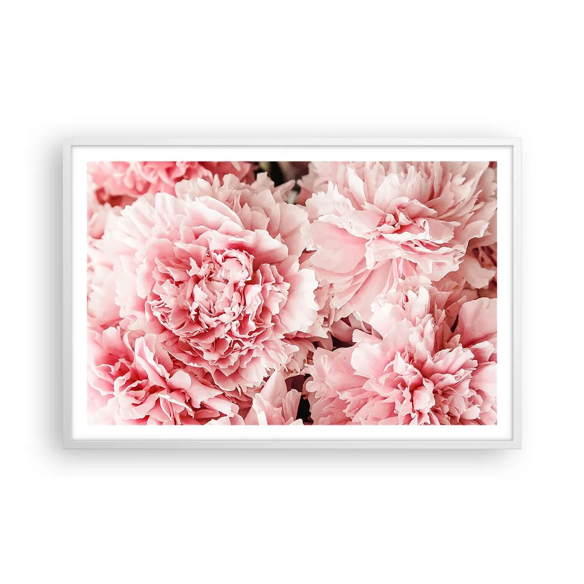 Poster in einem weißen Rahmen - Rosa Traum - 91x61 cm