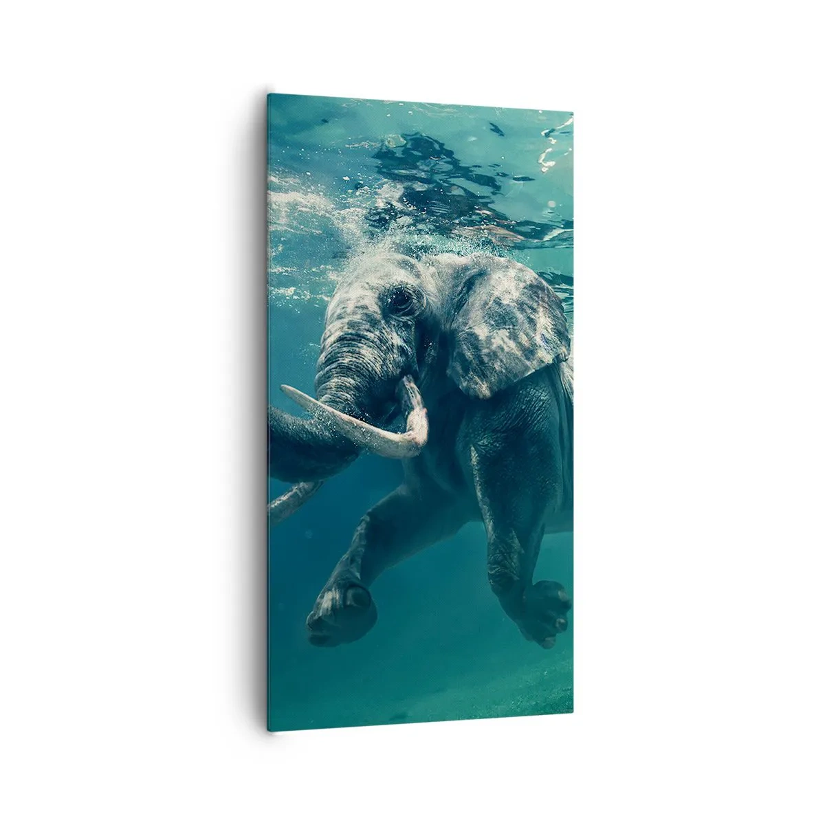 Bild auf Leinwand - Leinwandbild - Jeder schwimmt gerne - 65x120 cm