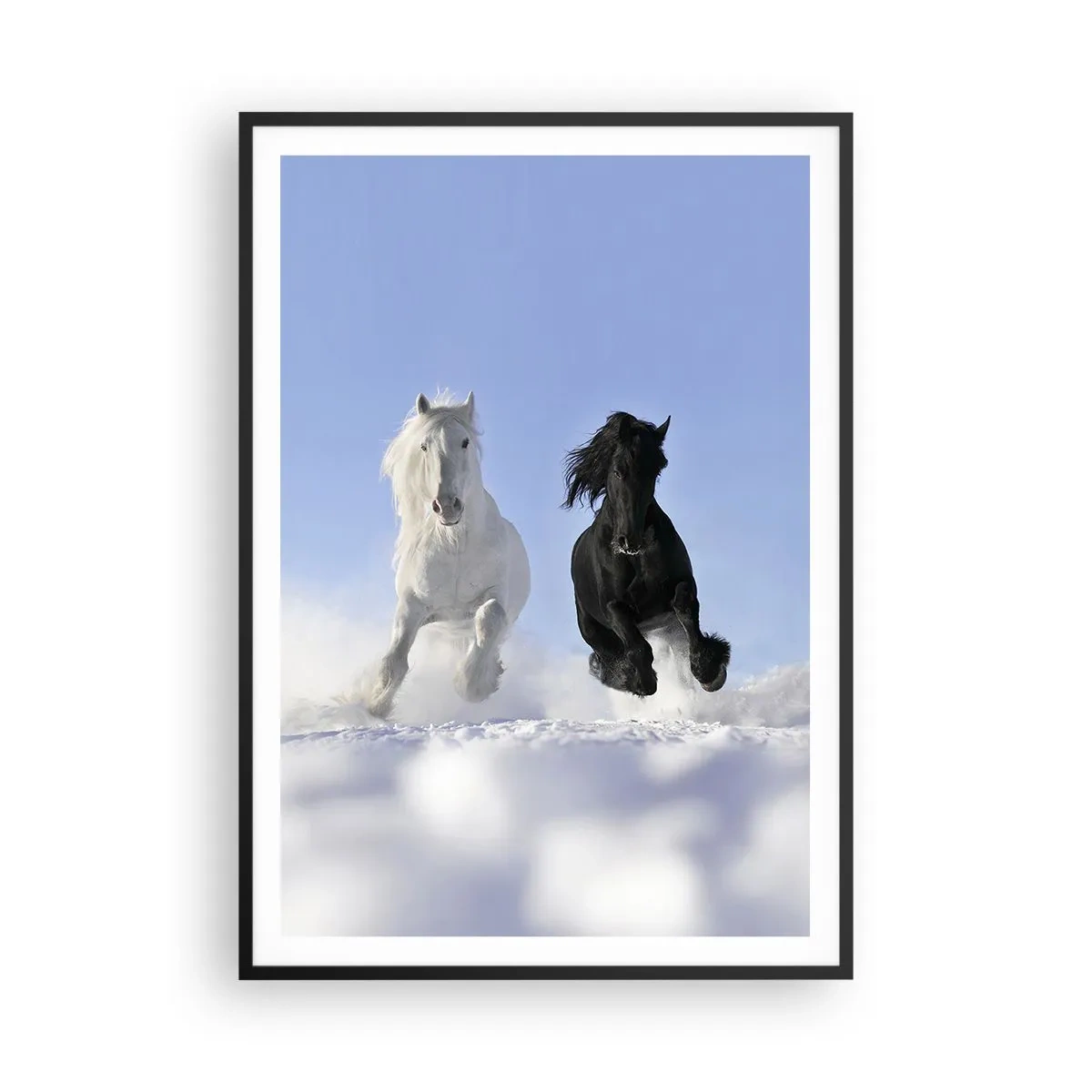 Poster in einem schwarzem Rahmen - Schwarz-Weiß-Galopp - 70x100 cm