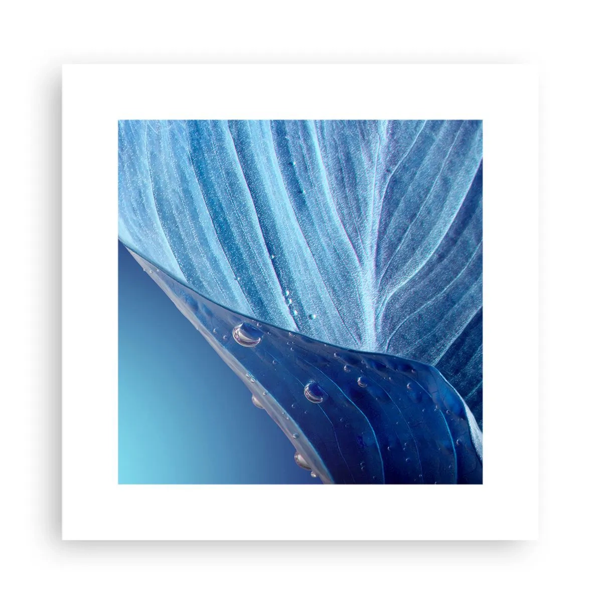 Poster - Versteckte Tropfen vom Blau - 30x30 cm