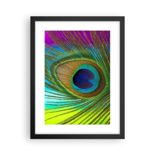 Poster in einem schwarzem Rahmen - Auge in Auge - 30x40 cm