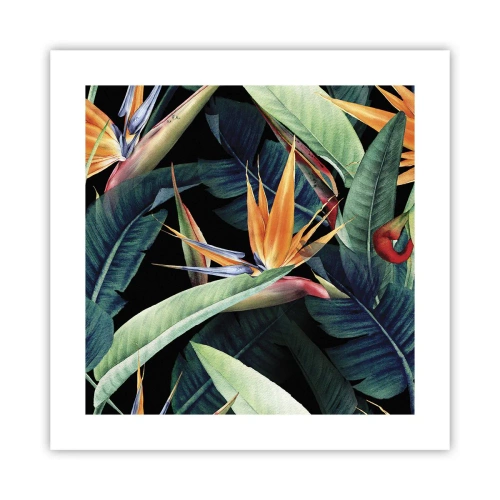 Poster - Flammende Blumen der Tropen - 40x40 cm