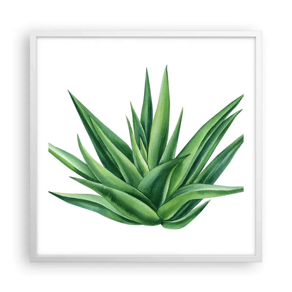 Poster in einem weißen Rahmen - Grün – Kraft – Leben - 60x60 cm