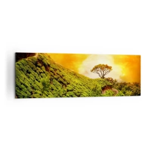 Bild auf Leinwand - Leinwandbild - Grüne Hügel mit Teeplantagen bei Sonnenuntergang - 160x50cm - Ein gewundener Weg, ein grüner Hang - Moderne Wanddekoration für Wohnzimmer und Schlafzimmer ARTTOR