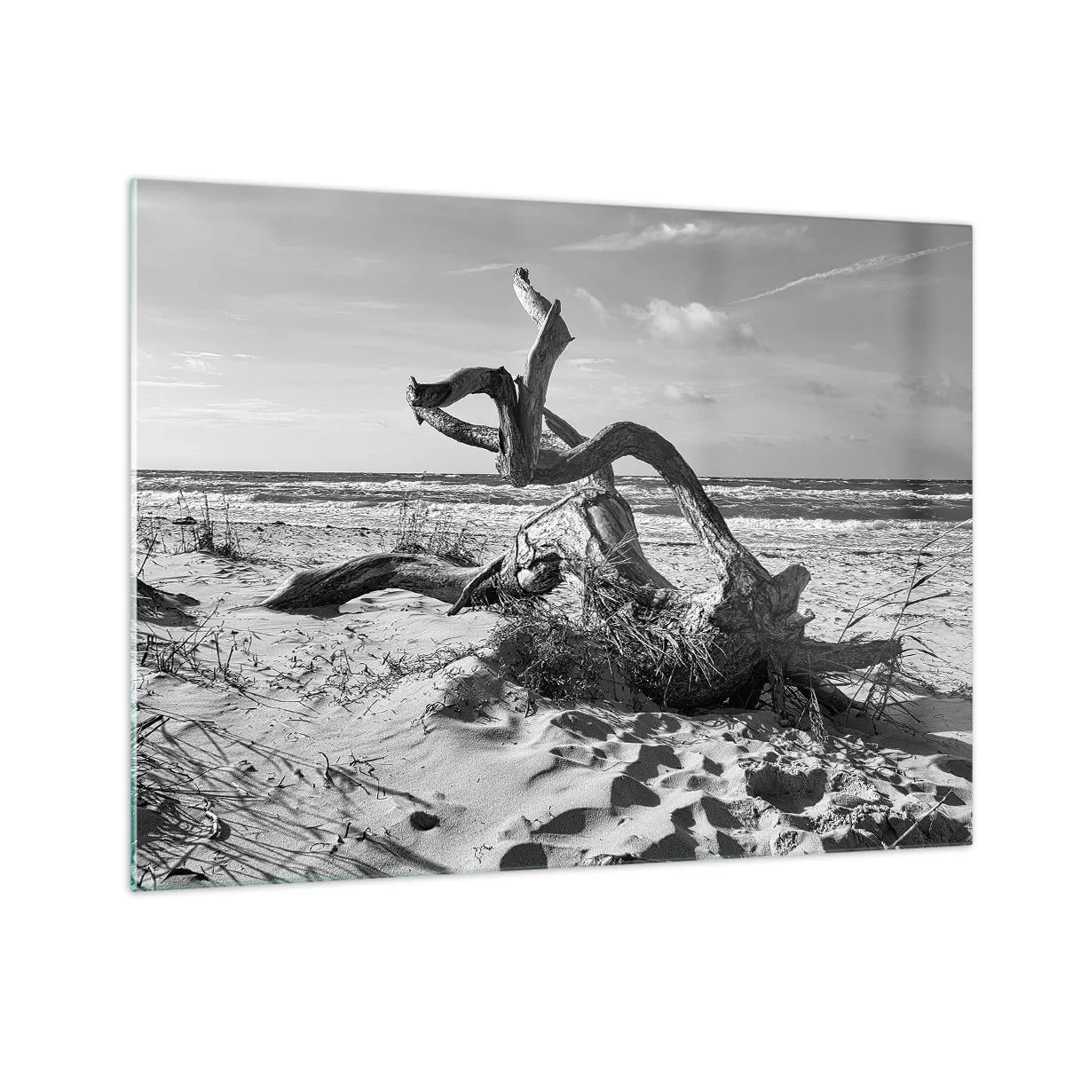 Glasbild - Bild auf glas - Eine schwarz-weiße Landschaft mit einem heruntergefallenen Ast an einem Strand am Meer. - 70x50cm - Meeresskulptur - Moderne Wanddekoration für Wohnzimmer und Schlafzimmer ARTTOR