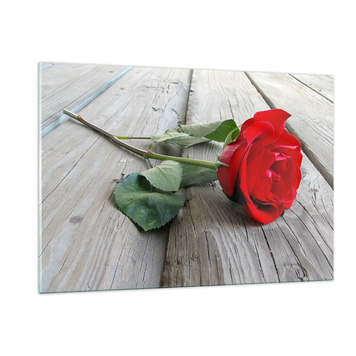 Glasbild - Bild auf glas - Rote Rose auf einem Holzbrett - 120x80cm - Eine Studie in Scharlachrot - Moderne Wanddekoration für Wohnzimmer und Schlafzimmer ARTTOR