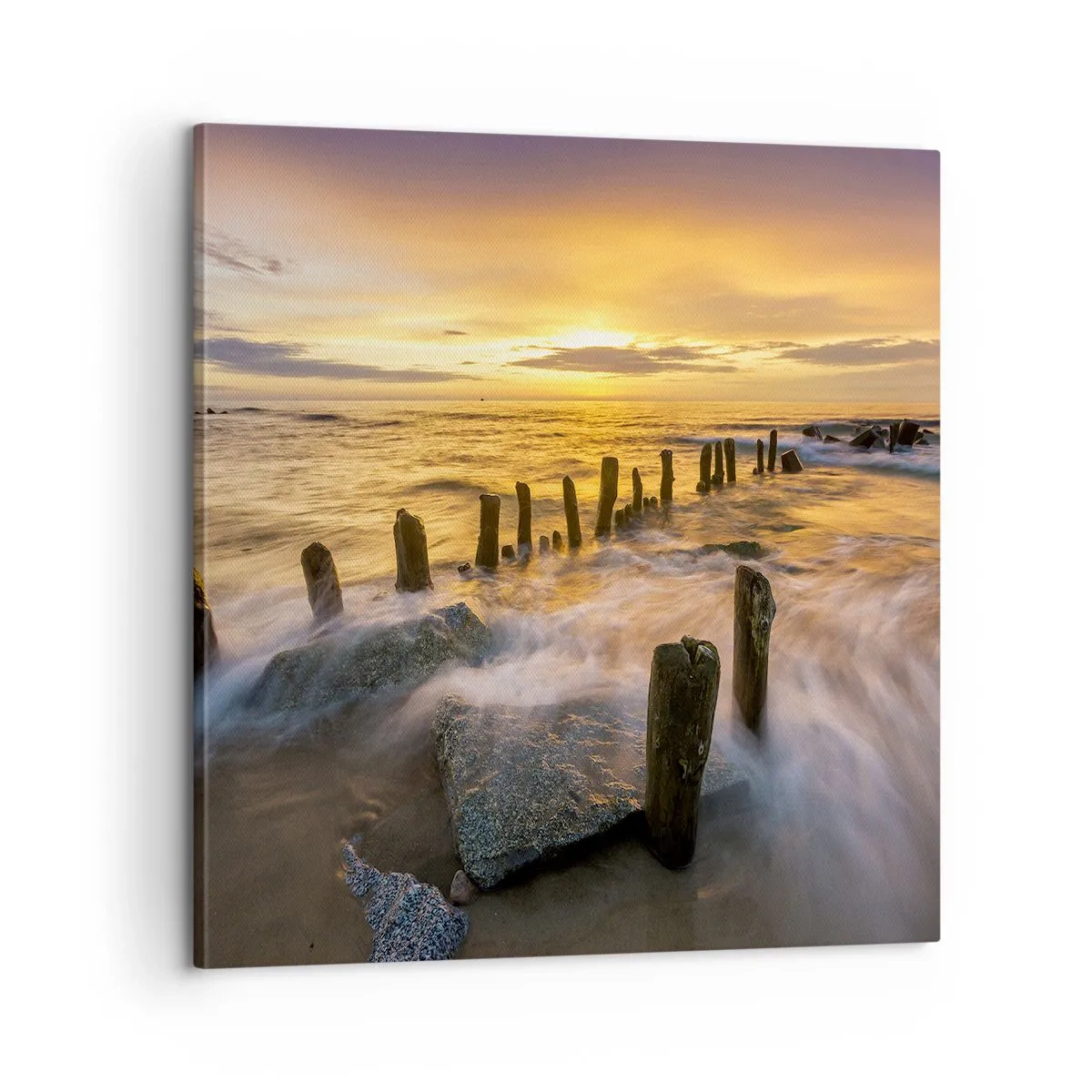 Bild auf Leinwand - Leinwandbild - Die raue Schönheit der Ostsee - 60x60 cm