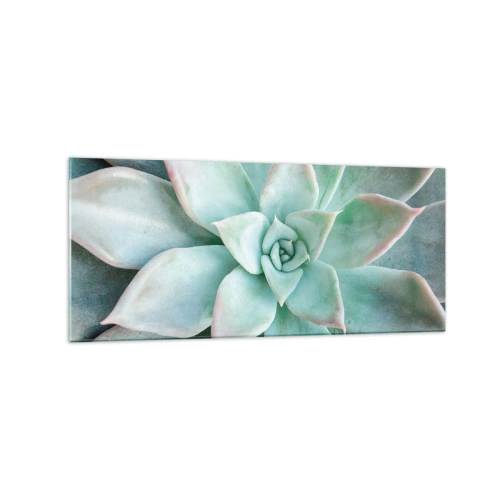 Glasbild - Bild auf glas - Nahaufnahme einer grünen Sukkulente - 120x50cm - Das Herz der Wüste - Moderne Wanddekoration für Wohnzimmer und Schlafzimmer ARTTOR