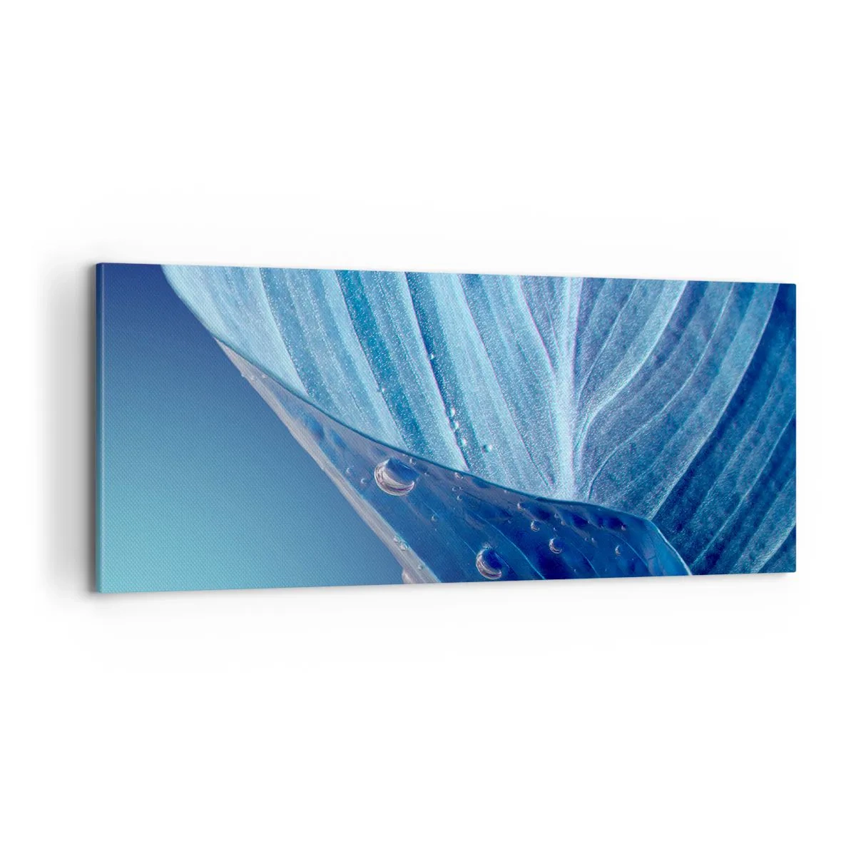 Bild auf Leinwand - Leinwandbild - Versteckte Tropfen vom Blau - 100x40 cm