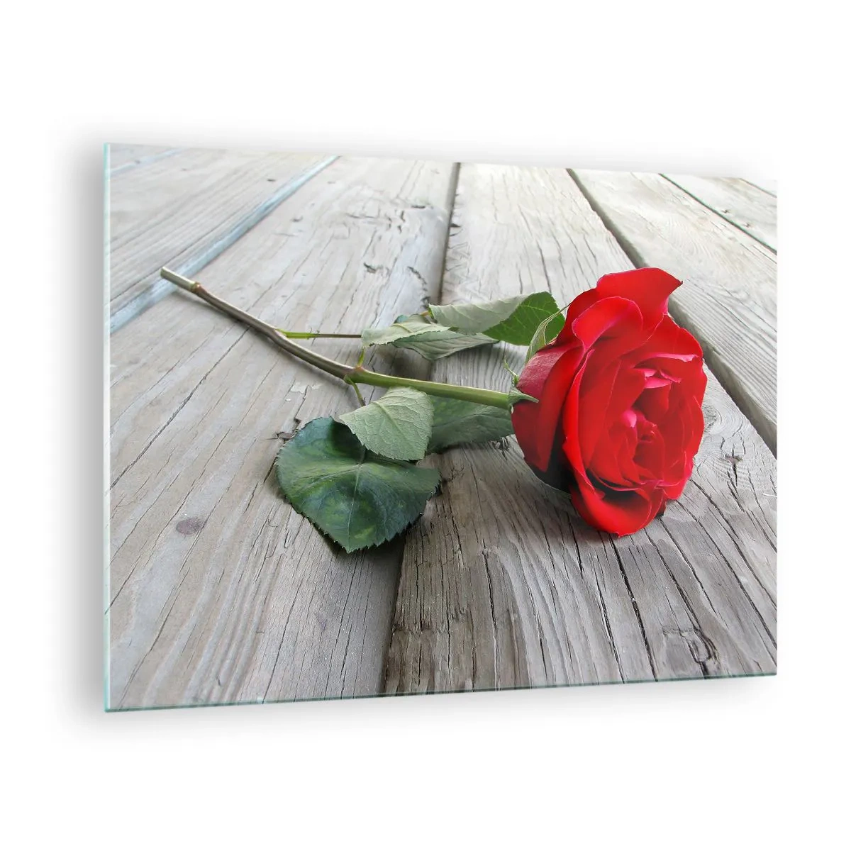 Glasbild - Bild auf glas - Rote Rose auf einem Holzbrett - 70x50cm - Eine Studie in Scharlachrot - Moderne Wanddekoration für Wohnzimmer und Schlafzimmer ARTTOR