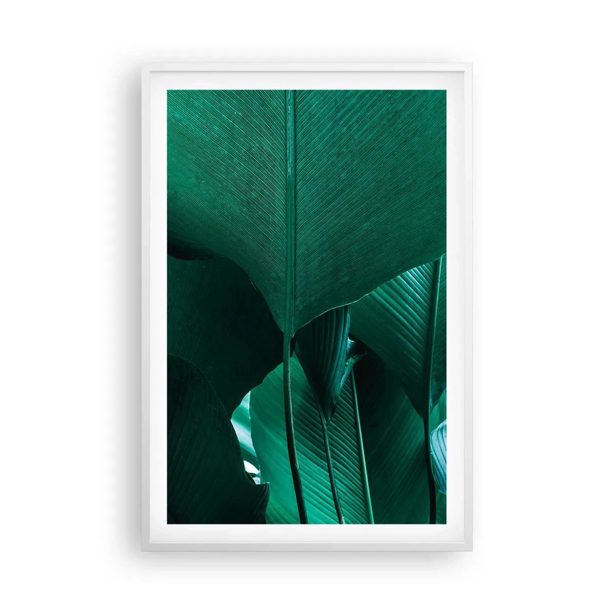 Poster in einem weißen Rahmen - Dem Licht zugewandt - 61x91 cm