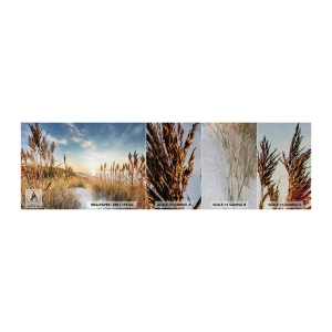 Fototapeten Muster Premium Sand - Nordstrand - Landschaft, Meer, Strand - 100x30 cm