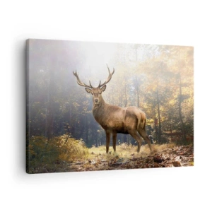 Bild auf Leinwand - Leinwandbild - Hirsch im herbstlichen Wald mit Sonnenstrahlen - 70x50cm - In voller Majestät - Moderne Wanddekoration für Wohnzimmer und Schlafzimmer ARTTOR
