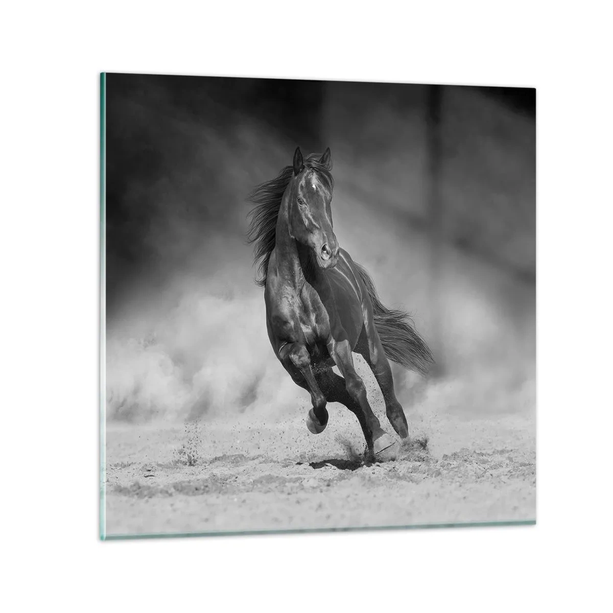 Glasbild - Bild auf glas - Würdig des Emirs selbst - 70x70 cm