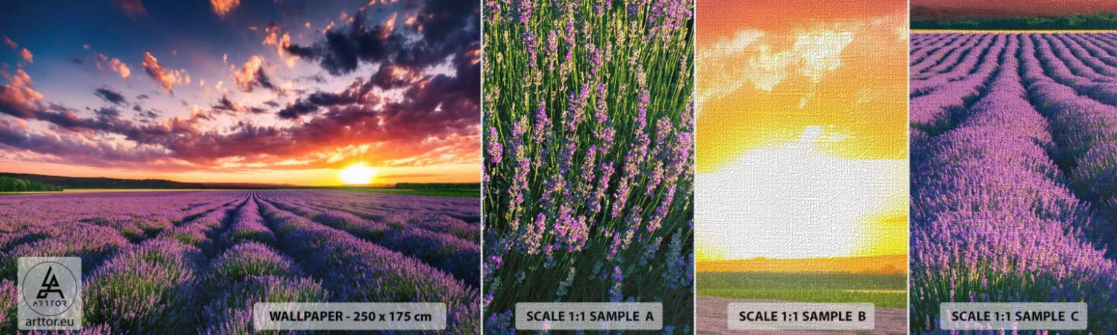 Fototapeten Muster Premium Canvas - Lavendel Welt - Landschaft, Lavendelfeld, Lavendel - 100x30 cm