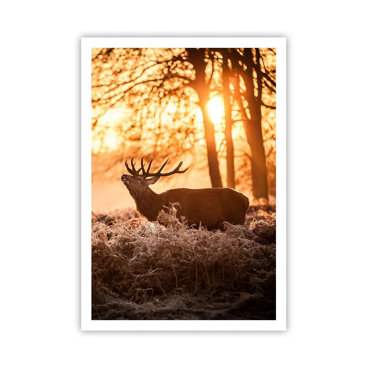 Poster - Der Traum eines Jägers - 70x100 cm