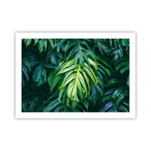 Poster - Tauchen Sie ein in die Frische - 70x50 cm