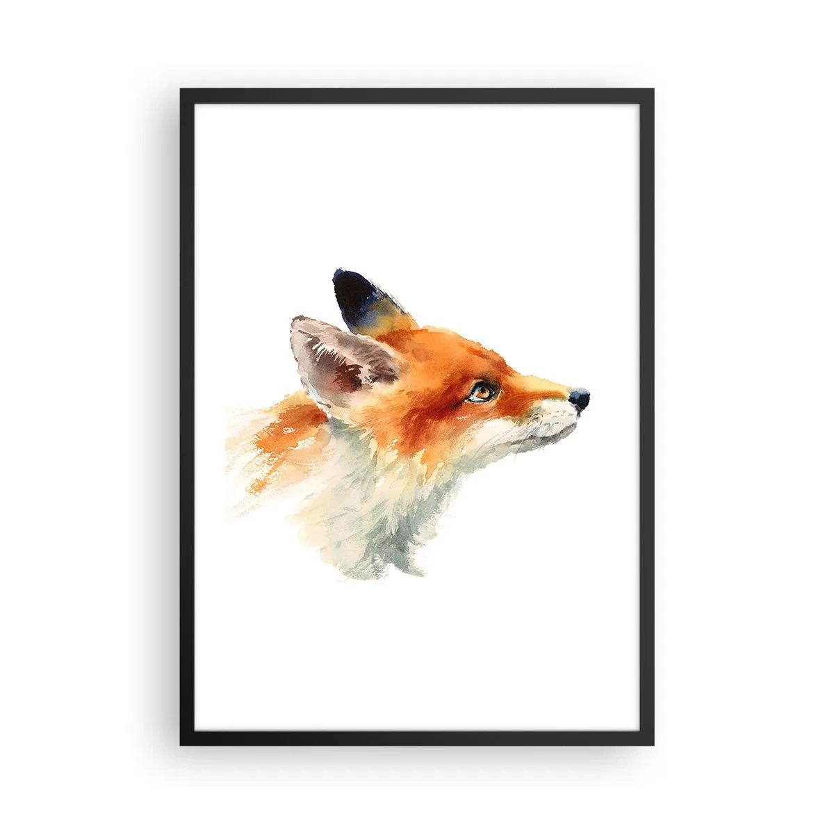 Poster in einem schwarzem Rahmen - Aquarellporträt eines Rotfuchses - 50x70cm - Man kann nie vorsichtig genug sein - Moderne Wanddekoration für Wohnzimmer und Schlafzimmer ARTTOR