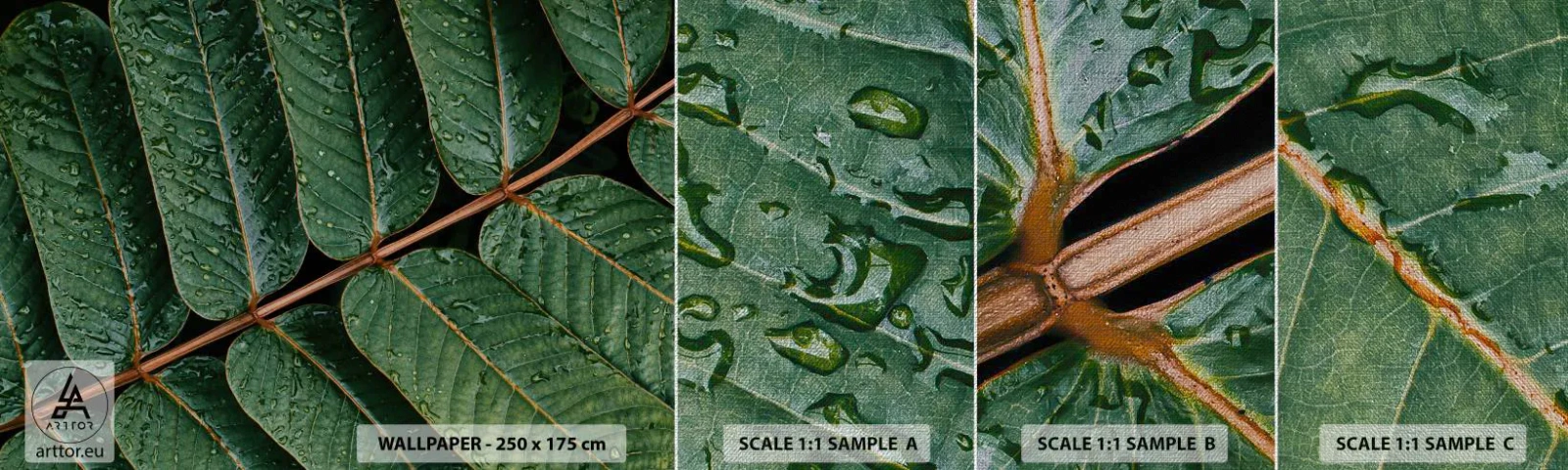 Fototapeten Muster Premium Canvas - Im grünen Rhythmus - Grüne Blätter, Tropische Pflanze, Stück - 100x30 cm