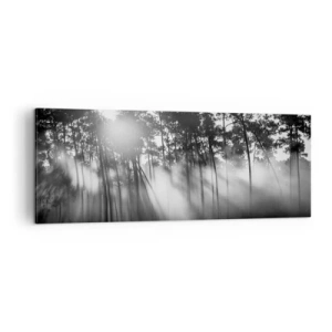 Bild auf Leinwand - Leinwandbild - Schwarz-weißer Wald im Morgennebel - 140x50cm - Unaufhaltsame Sonne - Moderne Wanddekoration für Wohnzimmer und Schlafzimmer ARTTOR