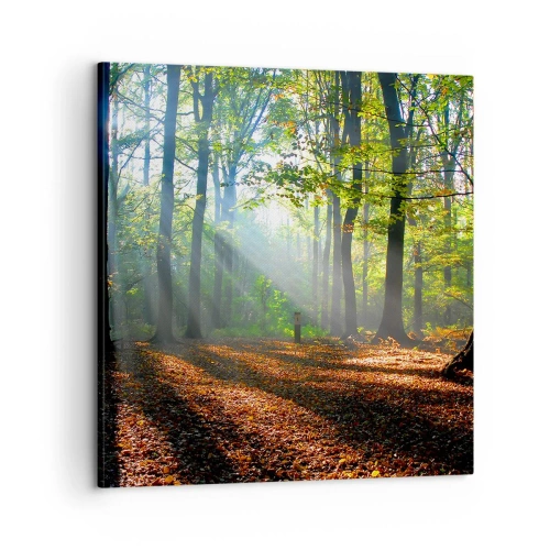 Bild auf Leinwand - Leinwandbild - Licht und Schatten - 60x60 cm