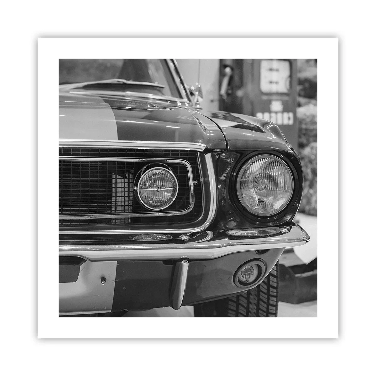 Poster - Wilder Ritt - 50x50 cm