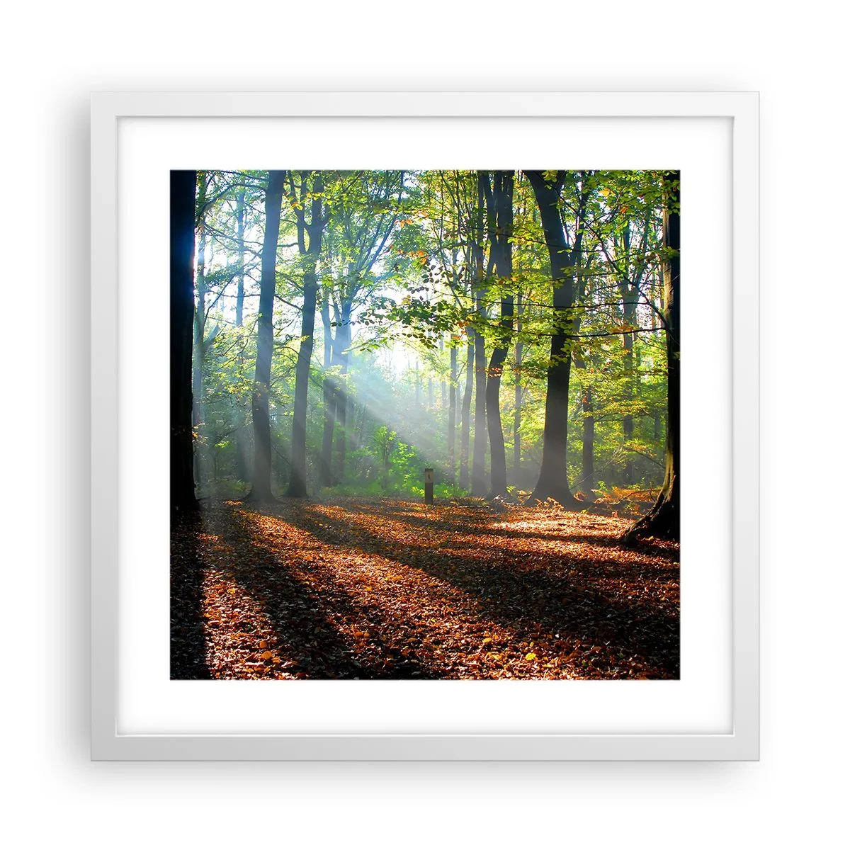 Poster in einem weißen Rahmen - Licht und Schatten - 40x40 cm