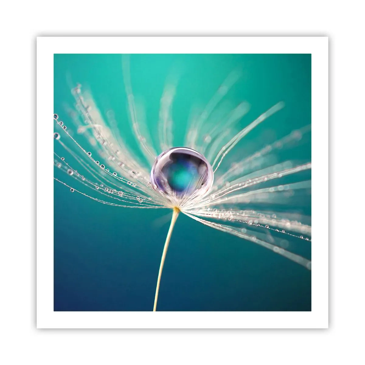 Poster - Mystischer Moment - 60x60 cm