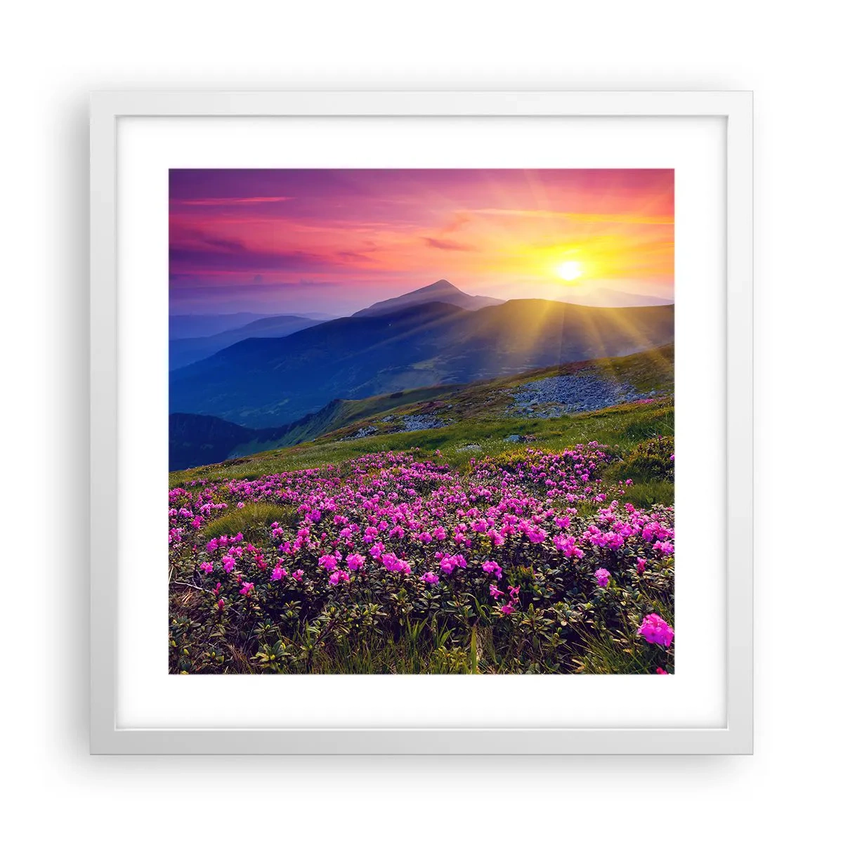 Poster in einem weißen Rahmen - … Und drumherum duftet es nach Latschenkiefer und dem Duft von Kräutern - 40x40 cm