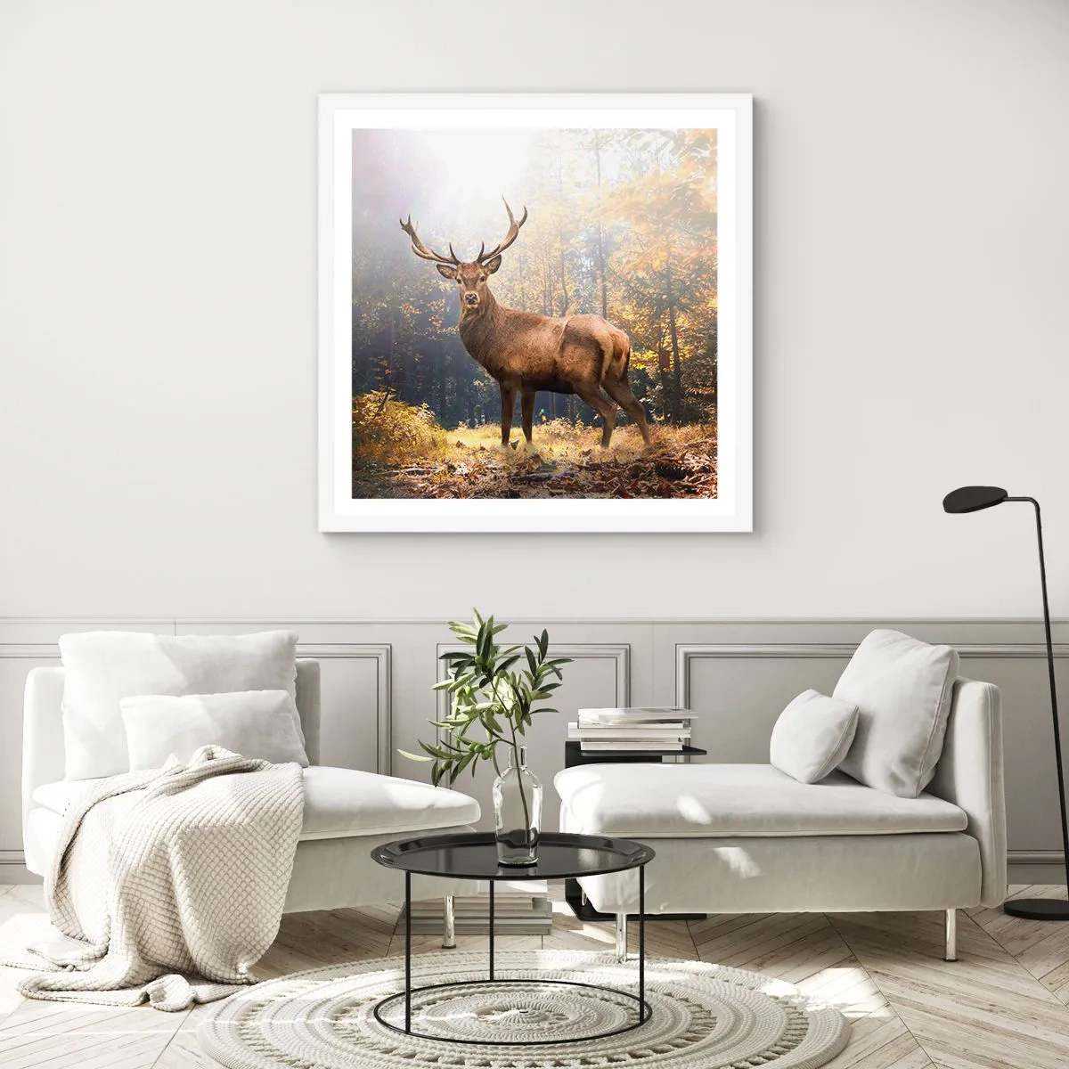 Poster in einem weißen Rahmen - In voller Majestät - 50x50 cm