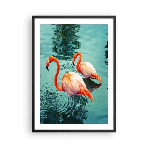 Poster in einem schwarzem Rahmen - Zwei Flamingos vor der Kulisse des ruhigen Wassers - 50x70cm - Wir sind jetzt in Mode - Moderne Wanddekoration für Wohnzimmer und Schlafzimmer ARTTOR