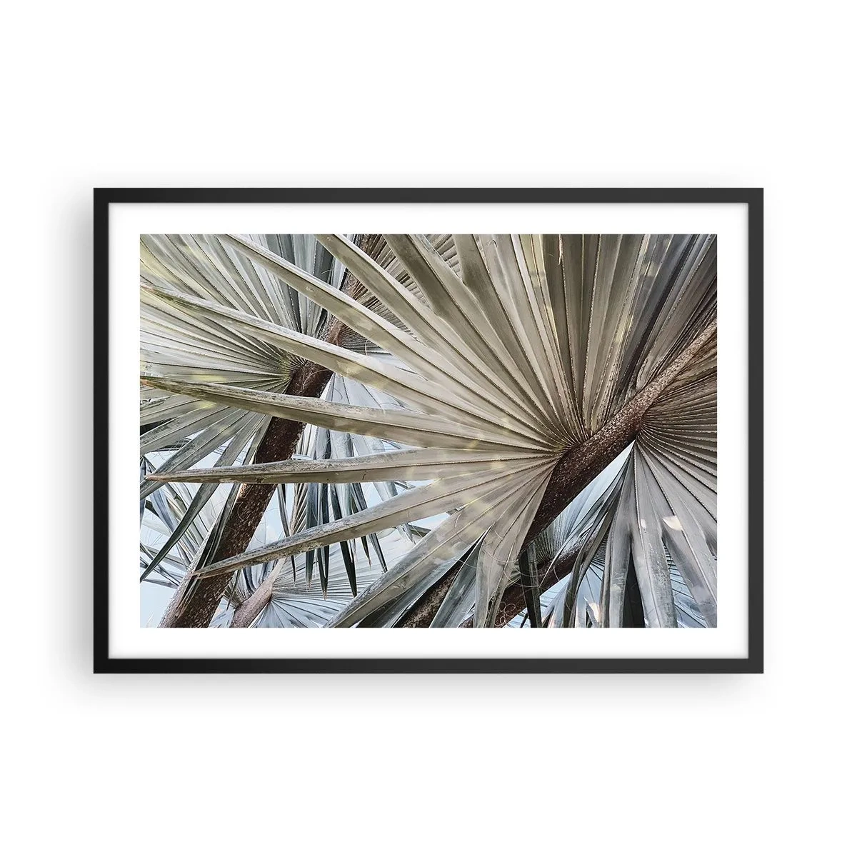 Poster in einem schwarzem Rahmen - Nahaufnahme von Palmblättern in natürlichen Grüntönen - 70x50cm - Fans in den Tropen - Moderne Wanddekoration für Wohnzimmer und Schlafzimmer ARTTOR