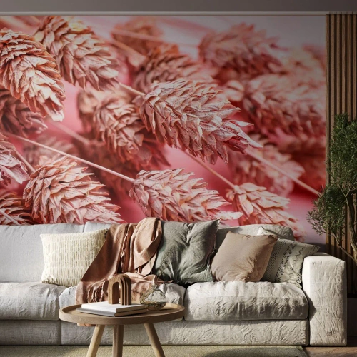 Fototapete Standard Eco - Eine Blumenkaskade in Rosa - Getrocknete Blumen, Blumenstrauß, Blumen - 350x256 cm