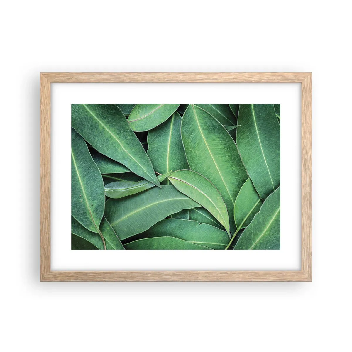 Poster in einem Rahmen aus heller Eiche - Saftig und frisch - 40x30 cm
