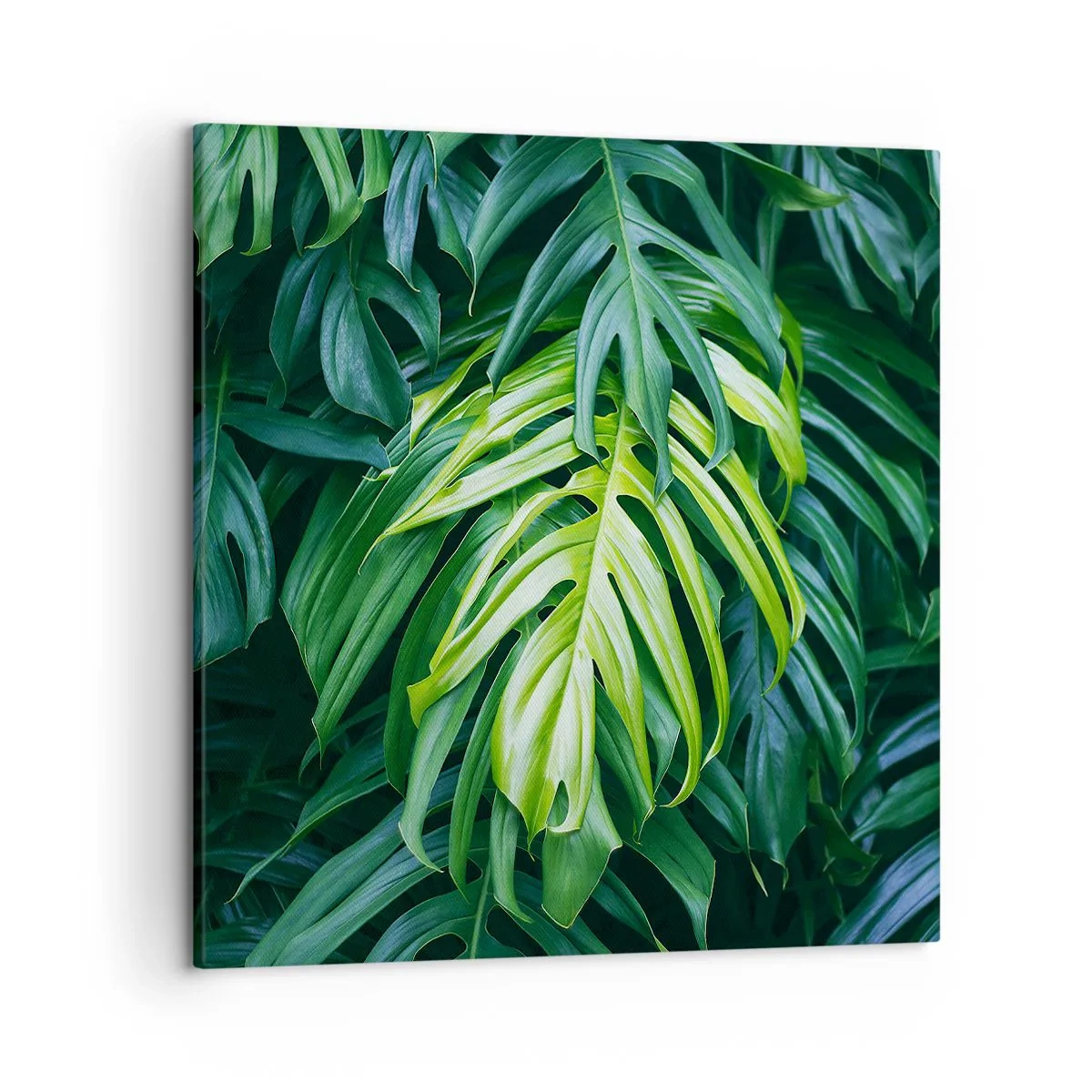 Bild auf Leinwand - Leinwandbild - Tauchen Sie ein in die Frische - 50x50 cm