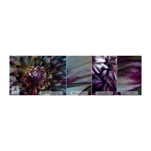 Fototapeten Muster Selbstklebend Deluxe Sticker - Die Blütezeit der Jugend - Blumen, Dahlie, Blühende Blumen - 100x30 cm